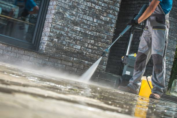 Best Roof Cleaning and Mildew Removal in St Elmo, IL