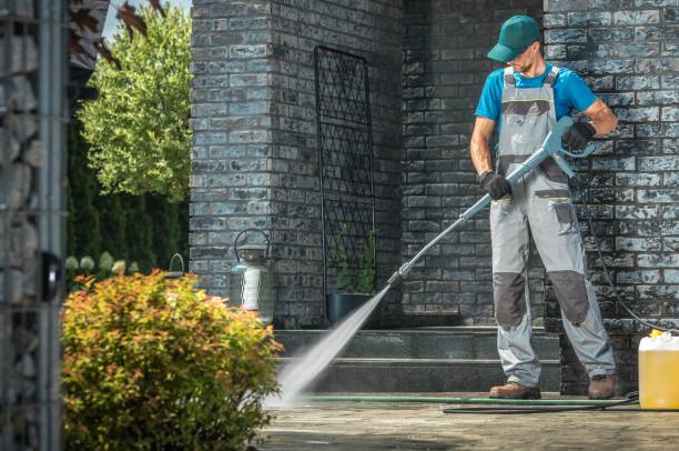 Best Building Exterior Pressure Washing in St Elmo, IL